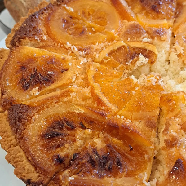 Hertzoggie - Coconut Meringue Pie